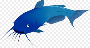 Lele Ikan Lele Wels Gambar Png