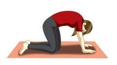 Marjariasana Cat Pose This Yoga Posture Is A Welcome Relief After The Chair Pose As It Allows The Heart Rate To Settle An Yoga Postures Cat Facts Cat Anatomy