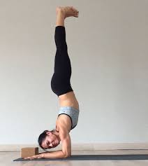 Shoulder Strength Flexibility For Forearm Stand Pincha Mayurasana Arielle Leon Yoga Forearm Stand Yoga Shoulder Yoga