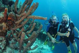 Curacao Scuba Tour For Certified Divers 2021