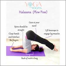 Pin On Yoga With Yogita