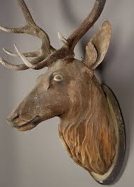 Black Forest Stag Deer And Chamois Heads From The South Of Germany Wood Deer Head Black Forest Antique Folk Art