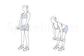 Deadlifts are one of the most important strength exercises, and they provide an array of benefits. Romanian Deadlift Illustrated Exercise Guide