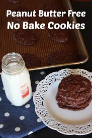 Peanut Butter Free No Bake Cookies Recipe Baking Recipes Cookies No Bake Cookies Baking