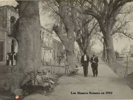 Escena Callejera Hacia 1900 Alamos Sonora Sonora Fotos Antiguas