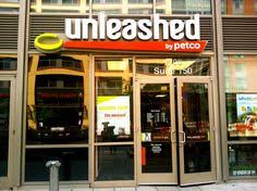 If your neighborhood store doesn't carry your favorite einstein pets products, just ask if they can. 20 Unleashed By Petco A Consumer Journey Map Ideas Petco Journey Mapping Unleash