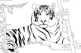 Risultati Immagini Per Disegni Colorare It Uomo Tigre Coloring Pages Online Coloring Pages Tiger