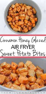 Cinnamon Honey Glazed Air Fryer Sweet Potato Bites The Millennial Sahm Recipe Air Fryer Dinner Recipes Air Fryer Recipes Healthy Air Frier Recipes