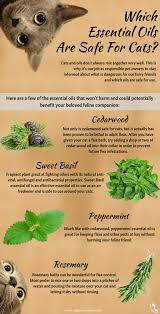 The higher the concentration of the essential oil (i.e passive diffusers work by evaporating the oil, producing a pleasant smell. Which Essential Oils Are Safe For Cats Organic Aromas