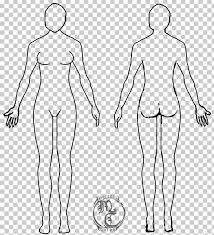 This 3d body shape simulator uses your weight and height to show you at your goal weight. Female Body Shape Human Body Diagram Drawing Woman Png Clipart Abdomen Arm Back Black And White