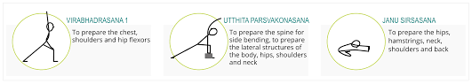 Pose Recipes Janu Sirsasana Parivrtti Sequence Wiz