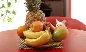 An imbalanced diet, or improper use of how much pineapple can dogs eat? Can I Feed My Pet Fruit Hill S Pet