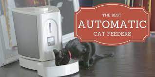 Updated december 07, 2019 by tina morna freitas. Best Automatic Cat Feeder 2021 Buyer S Guide And Reviews