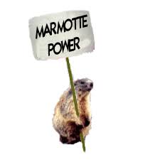 Jour de la marmotte 36932 gifs. Marmottes Fantaisies Gifs Animes Sur La Marmotte Page1 Marmotte Gifs Gif Anime