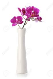 Choose flower delivery in a vase with a vast selection of. Pink Orchid Flower In White Vase Isolated On White Stock Photo Picture And Royalty Free Image Image 13507935