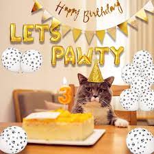 A curious cat finds the birthday cake at last. Cat Birthday Party Supplies Dog Birthday Balloons Decorations Party Decorations Dog Cat Birthday Hat Happy Pet Birthday Party Kit Walmart Com Walmart Com