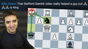 The stafford gambit was rarely played for. Opponent Didn T Watch My Stafford Gambit Video Youtube