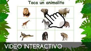 Aplicación de herramientas tecnologicas como estrategia de aprendizaje para los estudiantes de preescolar carmen cecilia castellanos florez colegio departamental la. Safari Para Ninos Juego Interactivo Y Educativo Para Ninos Hechoxmama Youtube