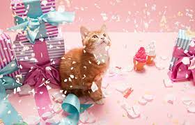 Happy birthday cat cute kitty's with a bowl full of it's delight munchies and playing with its dearest toy. Fun Ideas To Celebrate Your Cat S Birthday Lovetoknow