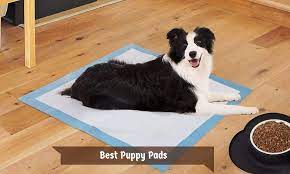 Best sellers in dog training pads & trays. Best Puppy Pads