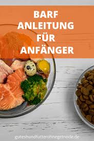 Barfen Fur Anfanger Top Tipps 2020 Mit Anleitung Rezepte Hundefutter Selber Kochen Hunde Ernahrung Kochen Fur Hunde