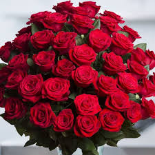 Choose from a curated selection of rose photos. Red Roses Spring In The Air