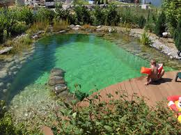 Das Perfekte Equipment Fur Ihren Schwimmteich Backyard Pool Swimming Pond Natural Swimming Pools