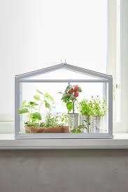 Pin Auf Ikea Pflanzen