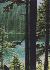 Pin By Molly Ness On Nature Nature Jesus Beautiful Nature