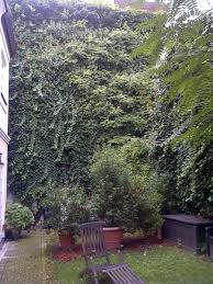 Sichtschutz Im Garten Mit Schnell Wachsenden Pflanzen Als Garden Design Plans Pflanzen Schnell Sichtschutz Wachsende