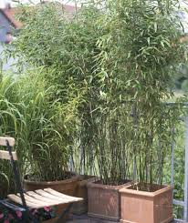 Pin On Garten Design