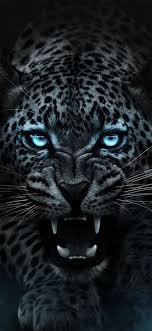 Von wilde natur zu natur kunst möbel. Dark Tiger Wallpaper By Efforfake On Deviantart Wild Animal Wallpaper Tiger Wallpaper Jaguar Animal