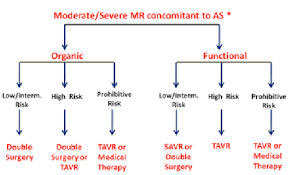 Algorithm For The Treatment Of Severe Aortic Stenosis With Concomitant Download Scientific Diagram