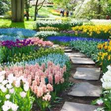Was Passt Zu Hortensien Gute Pflanznachbarn Garten Landschaftsbau Schattenpflanzen Pflanzen