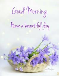 Good Morning Buongiorno Citazioni Buongiorno Immagini Buon Compleanno