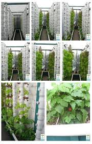 Vertical Aquaponics Aquaponic Gardening Hydrokultur Hydrokultur Garten Vertikale Landwirtschaft