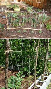 19 Formas Exitosas De Construir Enrejados De Bricolaje Para Frutas Y Verduras Diy Garden Trellis Diy Trellis Garden Trellis