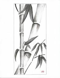 Pin By Cont On My Saves In 2021 Bamboo Drawing Pencil Drawings Drawings