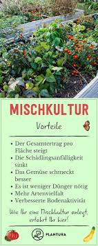 Mischkultur Welche Pflanzen Passen Zusammen Plantura Plants Perfect Plants Vegetable Garden Design