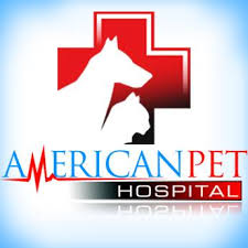 Crows landing road veterinary clinic is a veterinarian hospital that provides preventative, medical, surgical, dental, and hospitalized care for your dog, cat or small animal. American Pet Hospital Home Facebook