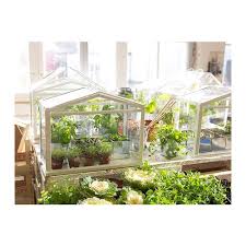 Gewachshaus Socker Weiss Drinnen Draussen Grun Kleines Gewachshaus Mini Gewachshaus Und Ikea