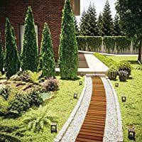 Floranica Gartenweg Meterware Sicher Und Komfortabler Rollweg Aus Impragniertem Larchenholz Laufsteg Holzweg Rollbar Gartenweg Garten Kaufen Garten Pflaster