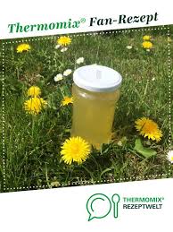 Lowenzahn Gelee Rezept Rezepte Thermomix Thermomix Rezepte Joghurteis Thermomix