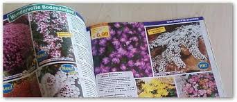 Baldur Garten Katalog Bestellen Und Zu Hause Blattern