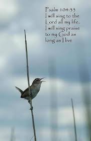 Psalm 104 33 Kjv I Will Sing Unto The Lord As Long As I Live I Will Sing Praise To My God While I Have My Being Psalms Scripture Verses Psalm 104