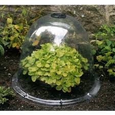 Cloche de jardin en grillage pour la protection des cultures. Cloche Jardin Victorienne En Plastique Transparent Jardin Et Saisons