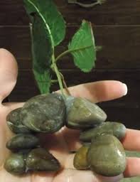 Diy Aquarium Decorations Diy Aquarium Fish Tank Decorations Diy Aquarium Decor