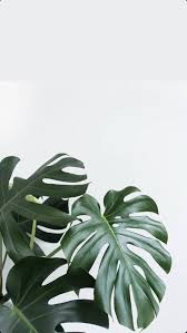 Pin On Cute Aesthetic
