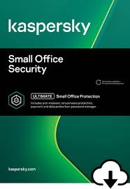 Kaspersky Small Office Security 5 Users Digital Download Walmart Canada