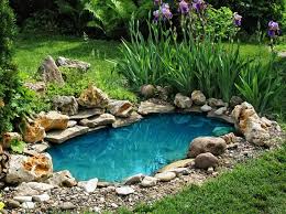 Wasser Im Garten Teich Anlegen Gartenteich Garten Anlegen